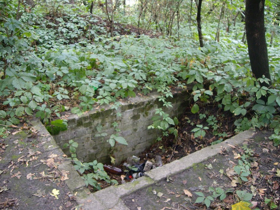 IMGP9487.JPG