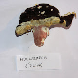 Kvilda - poznávačka