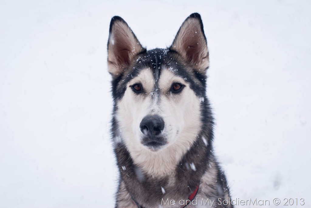[DSC_0348%255B9%255D.jpg]