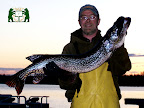 Kenogamissi Gator... come get yours!