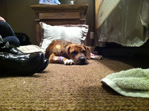 Lots of rest to catch up on!