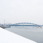 IMG_3944.jpg