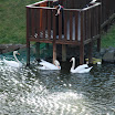 hokkaido_487.jpg