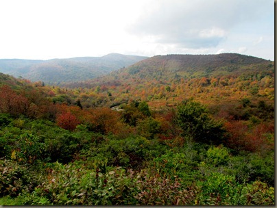 Near Graveyard Fields on Blue Ridge