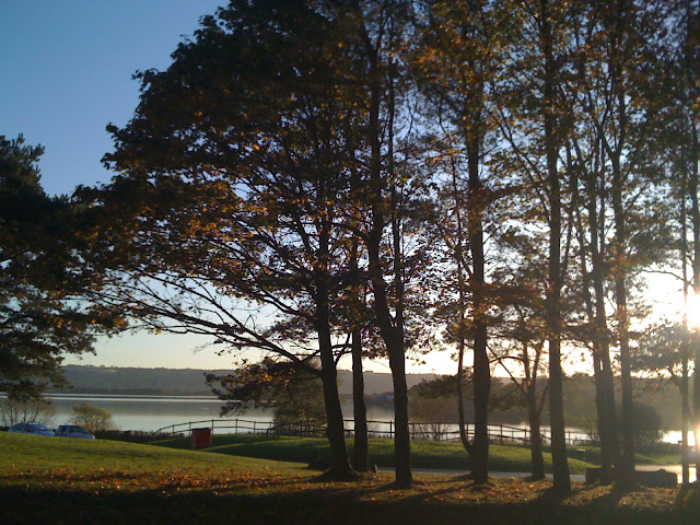  Autumn in the Chew Valley