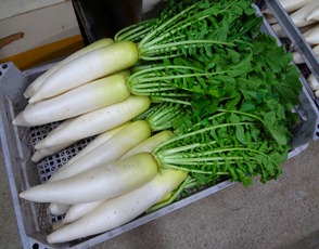 DSC00034 DSC00034