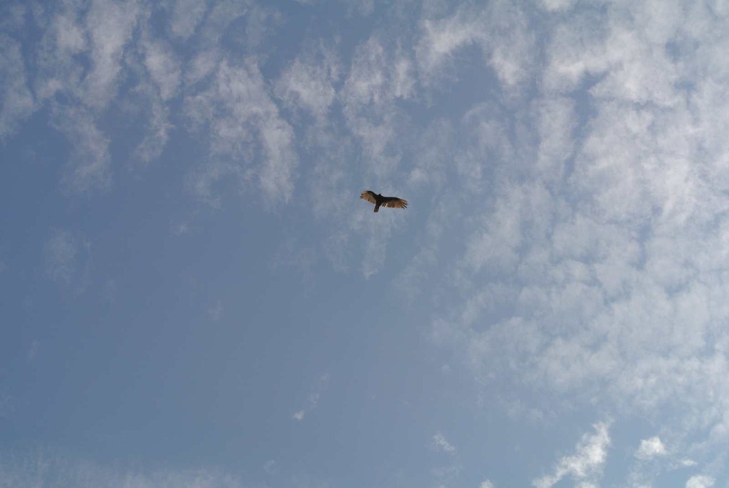 [DSC_7134%255B3%255D.jpg]