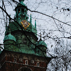 DSC_7739a.JPG