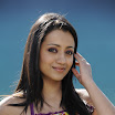 Trisha Latest Pictures Gallery 2012