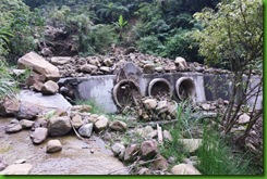IMG_0013 IMG_0013