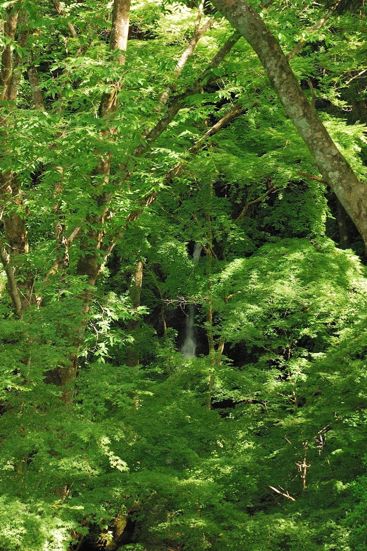 不忍の滝