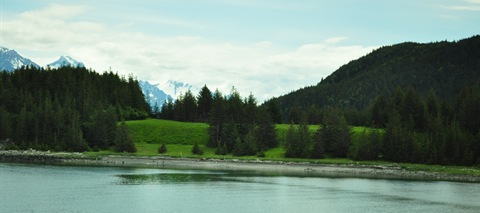 DSC_6020 DSC_6020