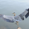 DSC_0838.JPG