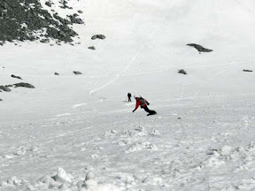 Sirok istjek grape