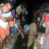 crocodile at nayathode 9.JPG
