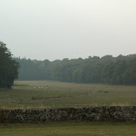 DSC_8737.JPG