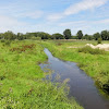 rz. Flinta dsc01859.jpg