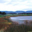 golf1.jpg