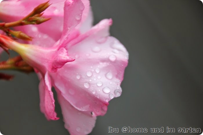 IMG_5157 IMG_5157