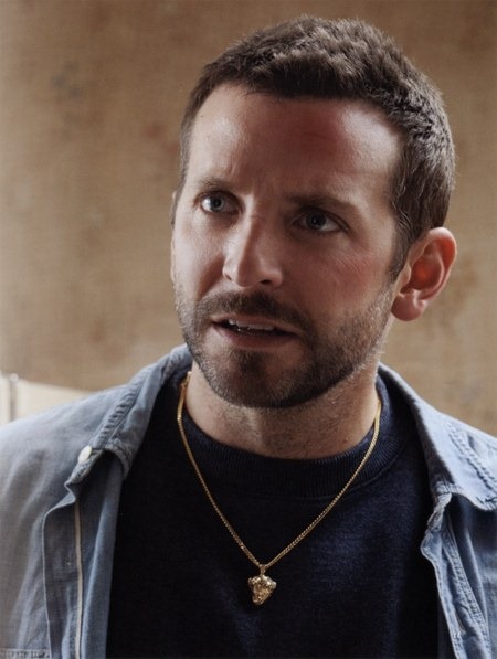The Silver Linings Playbook 03