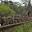 Cambodge- Angkor