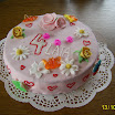 tort 008.jpg