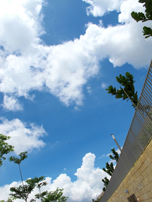 [IMG_45492.jpg]