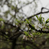 IMG_7891.JPG