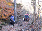 Saltpeter Cave crossing on trail 486