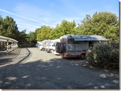 IMG_8536 IMG_8536