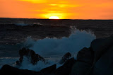 DSC_0447.JPG