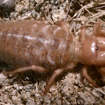IMAG0325.jpg
