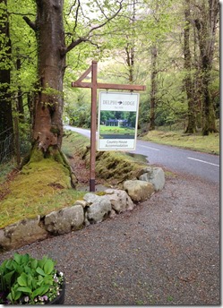 IMG_8295[1]