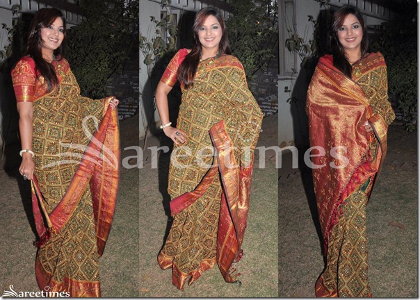Mansi_Embroidery_Saree