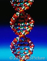 DNA