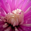 IMG_7560.jpg