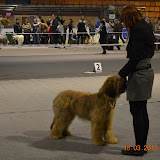Abi - DSC_0177.JPG