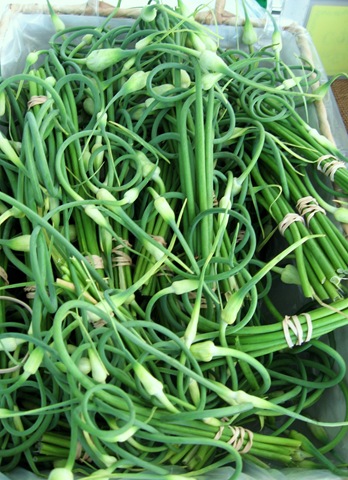 [garlic%2520scapes%25202%255B9%255D.jpg]