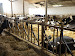 P1090853.JPG