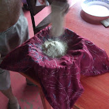 Kava powder