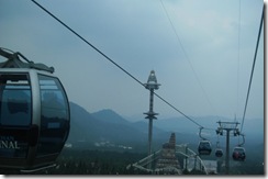 IMG_0808 IMG_0808