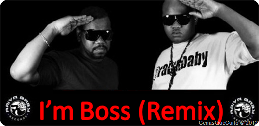 Raiva & Reptile - I'm Boss (Remix) Raiva & Reptile - I'm Boss (Remix)