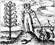 From Mylius Rosarium Philosophorum Manuscript 17