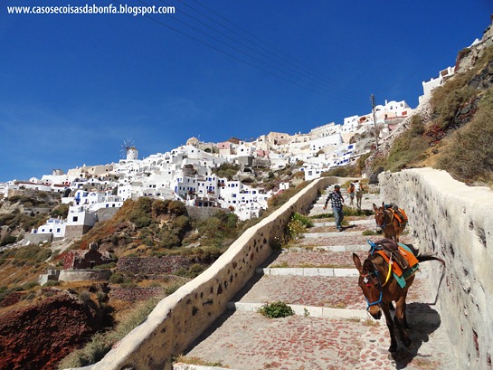 [20120426-115%255B7%255D.jpg]