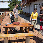 Vasút a Madarasi Hargitán