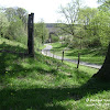 dolina rz. Gryżynki dsc06282.jpg