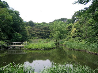 The grounds at the Tokyo Institute for Nature Study