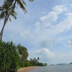 DSC_0393.JPG