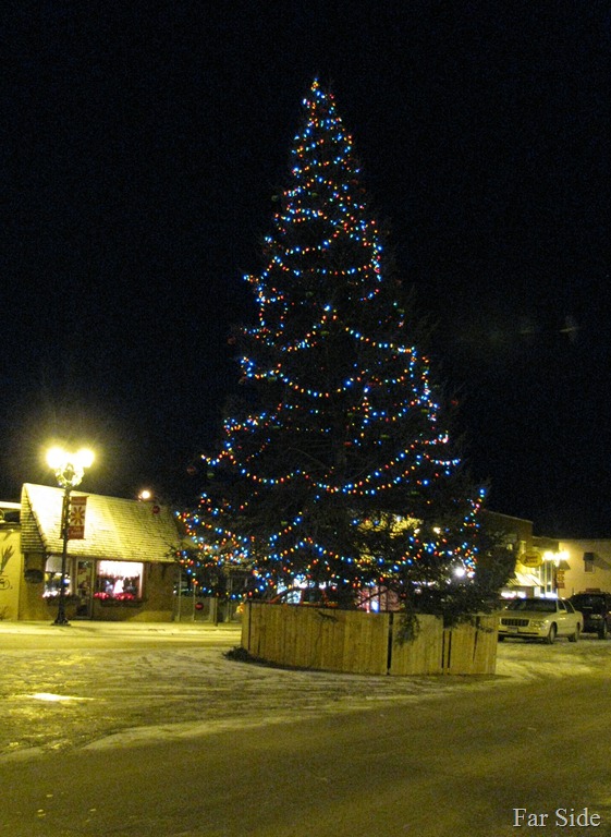 [Tree%2520in%2520town%255B10%255D.jpg]