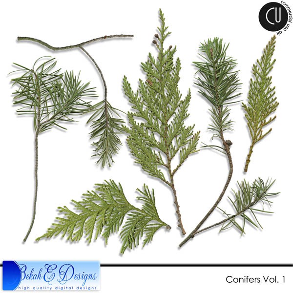 [bed_conifersVol1_prv%255B5%255D.jpg]